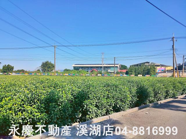 彰化田中農地-6