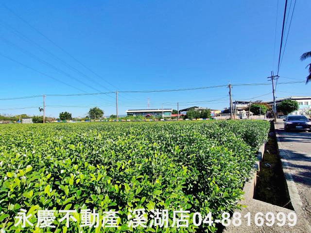 彰化田中農地-7