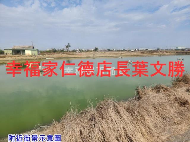 台南七股養殖地-4