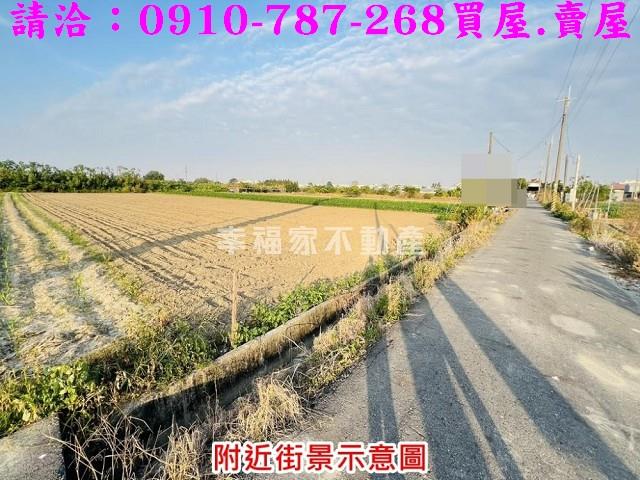 安定農地-6