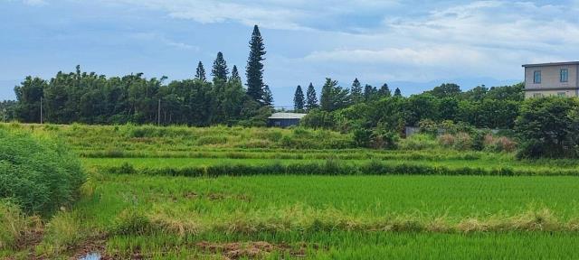 桃園農地-3