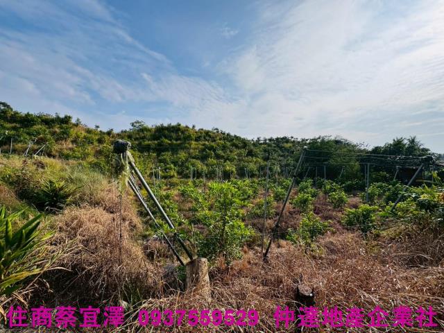 台南左鎮農地-9