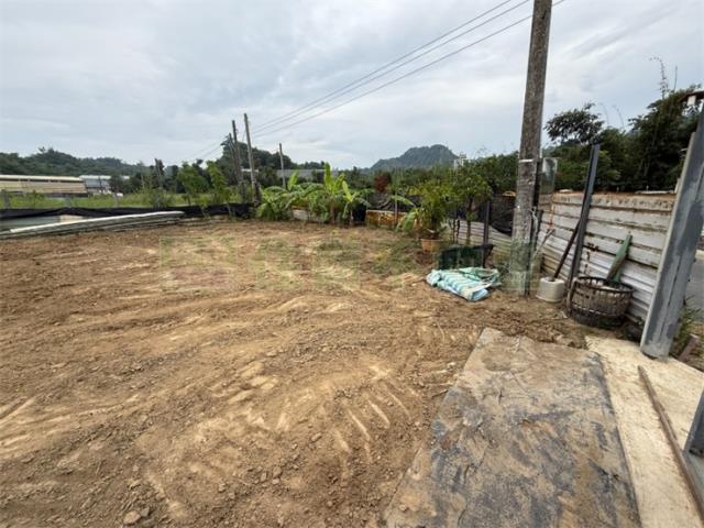 高雄大社農地-4