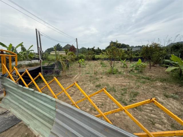 高雄大社農地-2