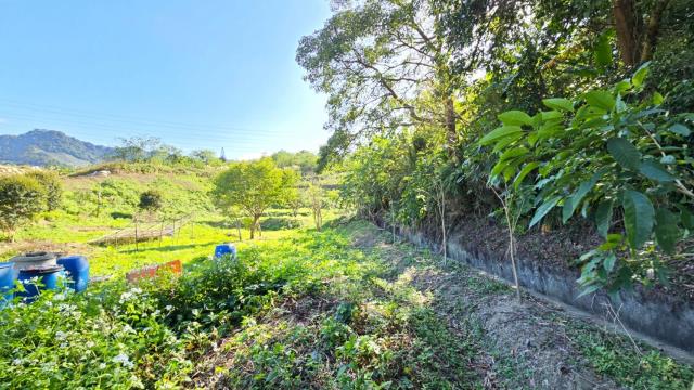 新竹北埔農地-4