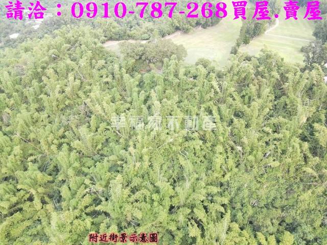 高雄大社農地-10