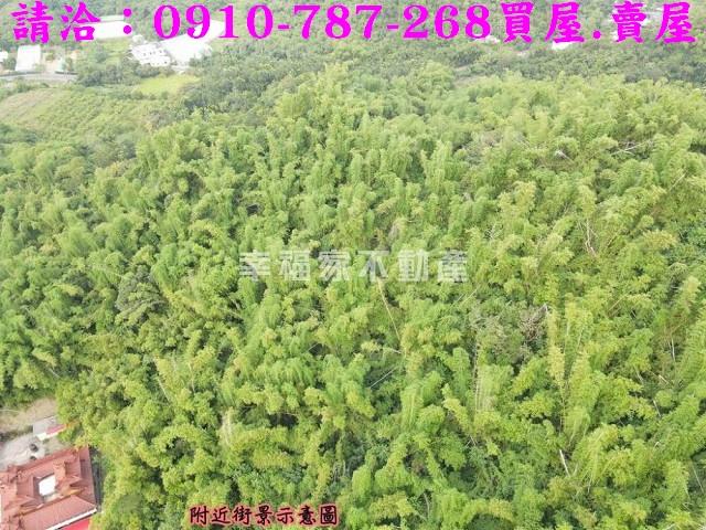 高雄大社農地-6