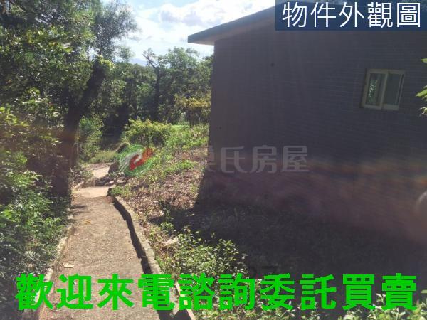 台北北投農地-11