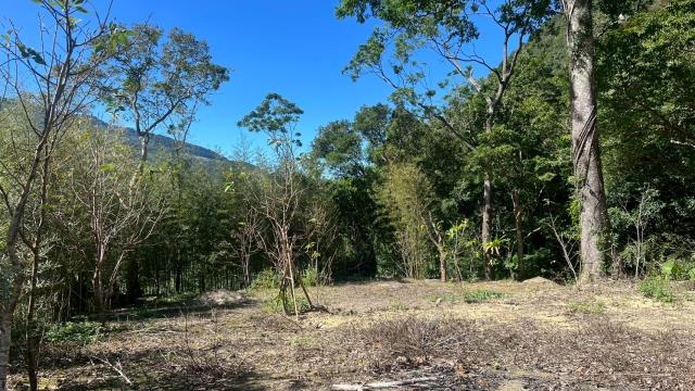 新竹尖石農地-6