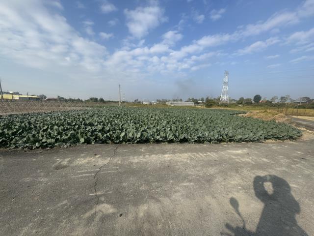 高雄路竹農地-12