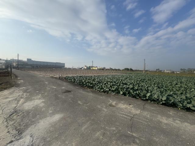 高雄路竹農地-1