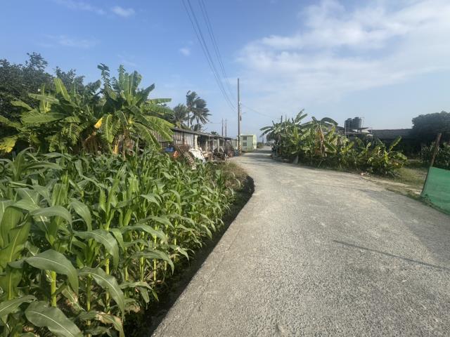 高雄路竹農地-10