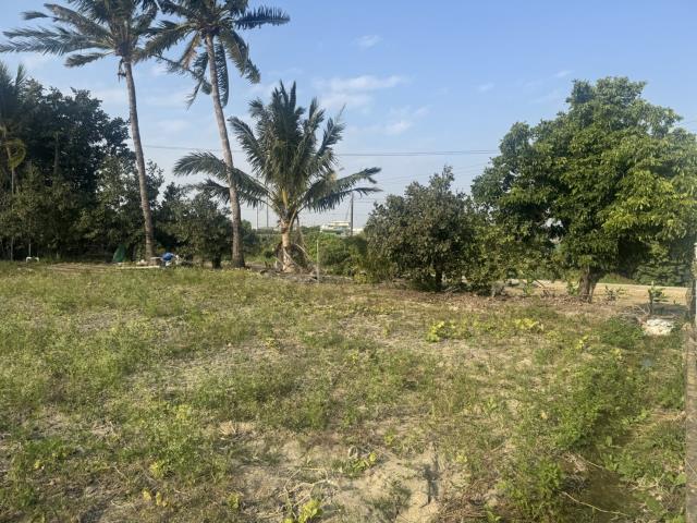 高雄路竹農地-11