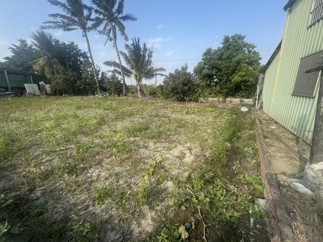 高雄路竹農地-5