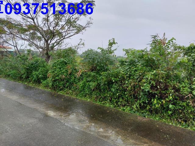 宜蘭礁溪農地-4