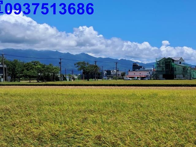 宜蘭壯圍農地-5