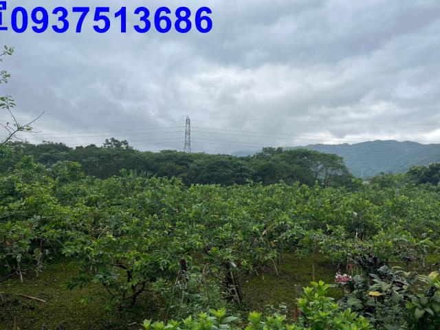 宜蘭員山農地-2