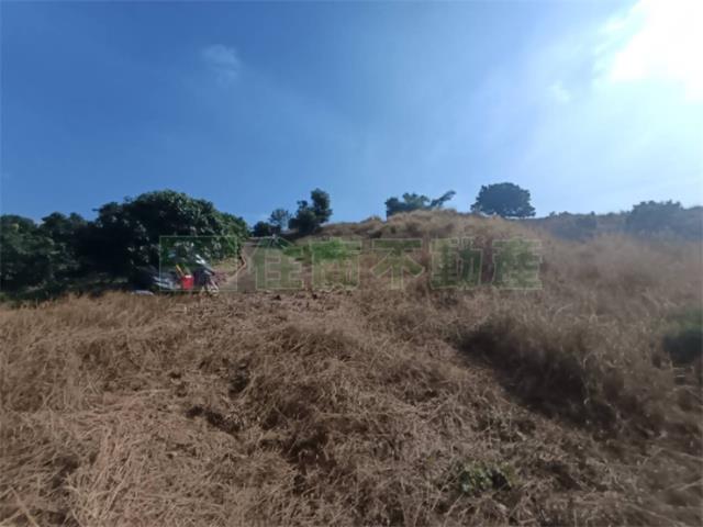 高雄大樹農地-10