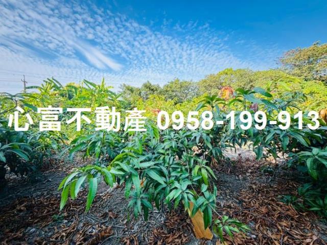 高雄燕巢農地-2