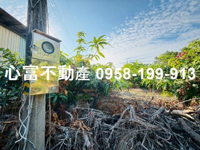 高雄燕巢農地-3