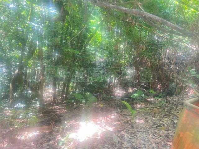 高雄內門農地-6