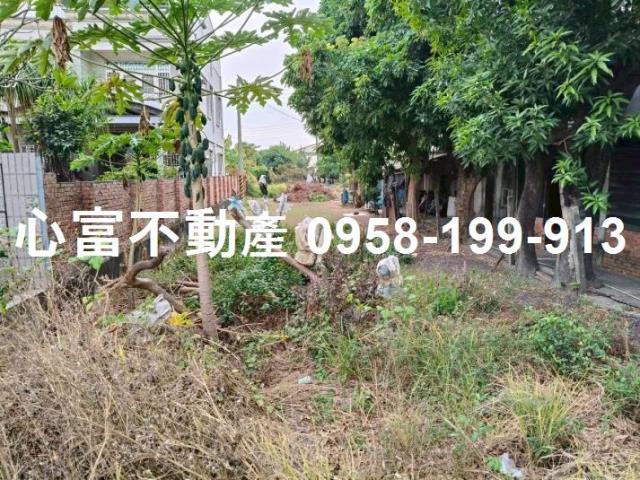 高雄路竹工業地-2