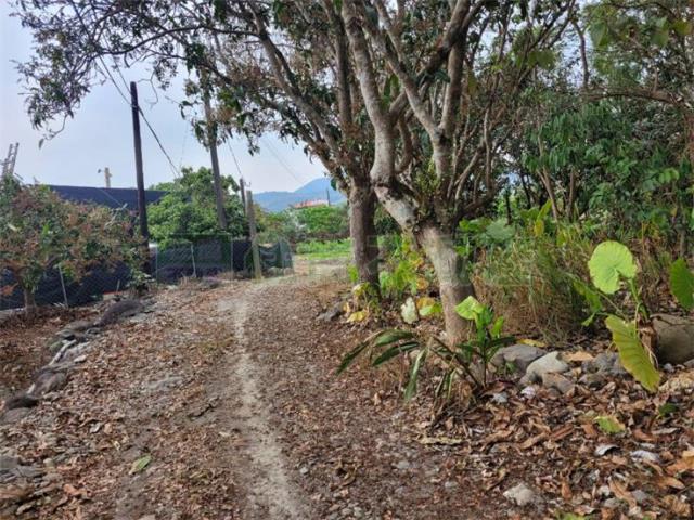 高雄六龜農地-1