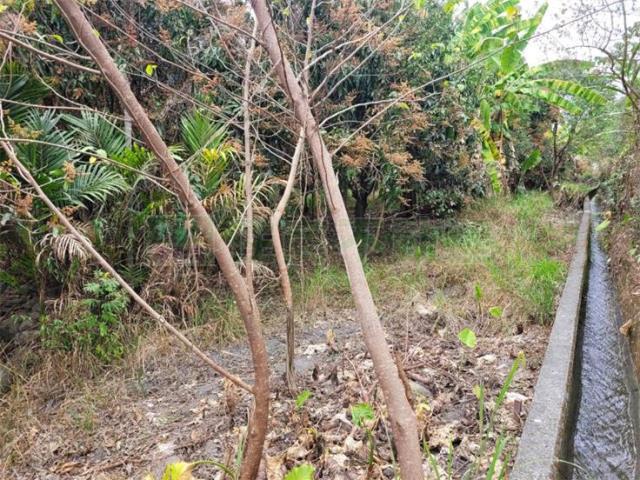 高雄六龜農地-4