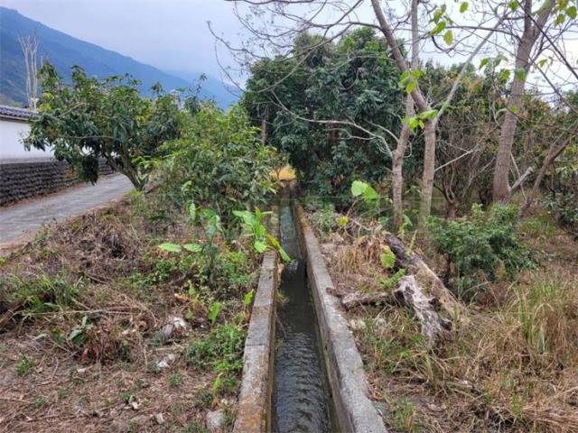 高雄六龜農地-7