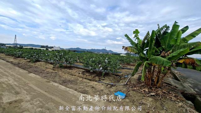 高雄燕巢農地-2