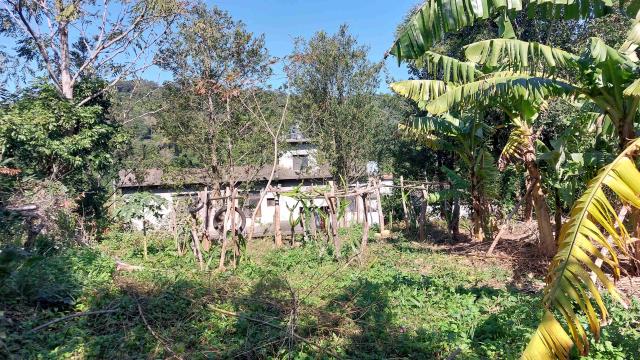 新竹新埔農地-11