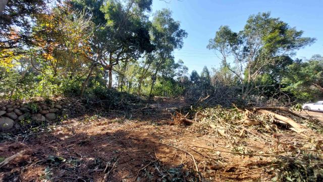 新竹新埔農地-9