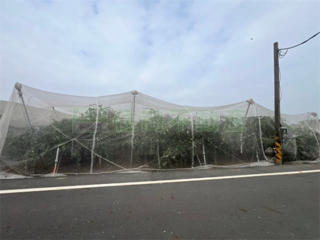 高雄岡山農地-4