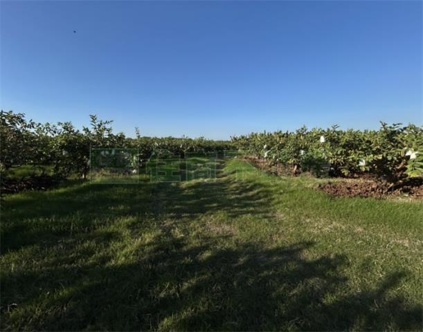 高雄美濃農地-6