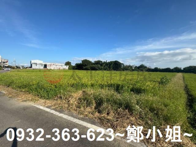 桃園新屋農地-10