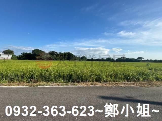 桃園新屋農地-12