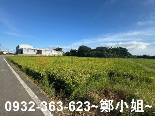 桃園新屋農地-6