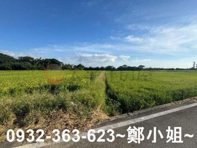 桃園新屋農地-9