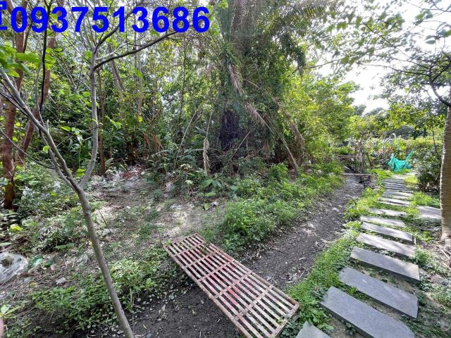 新竹竹北農地-4