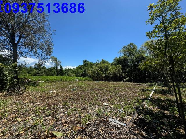 宜蘭礁溪農地-1