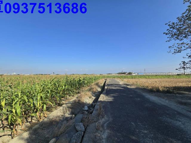 嘉義新港農地-11