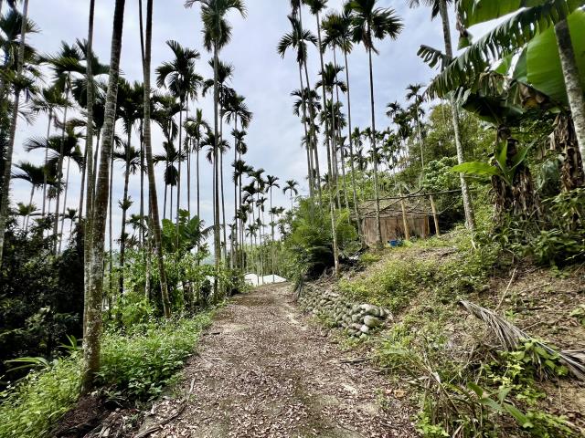 南投草屯農地-11