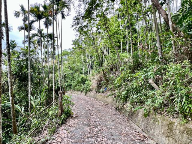 南投草屯農地-12