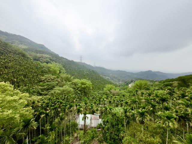 南投草屯農地-1