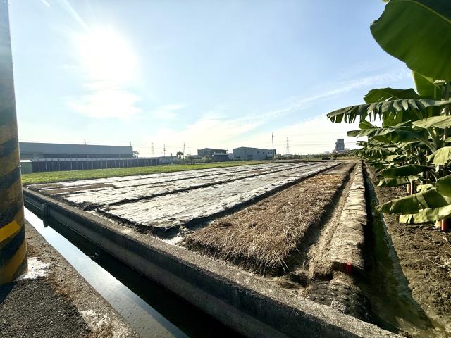 大寮農地-4