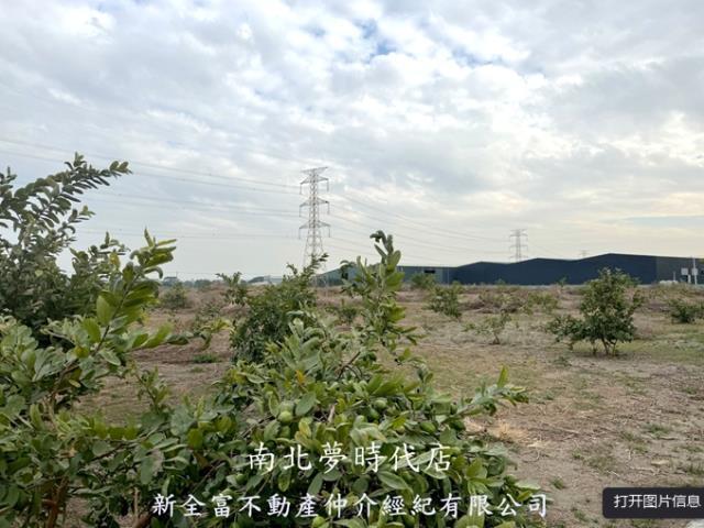 高雄湖內農地-3
