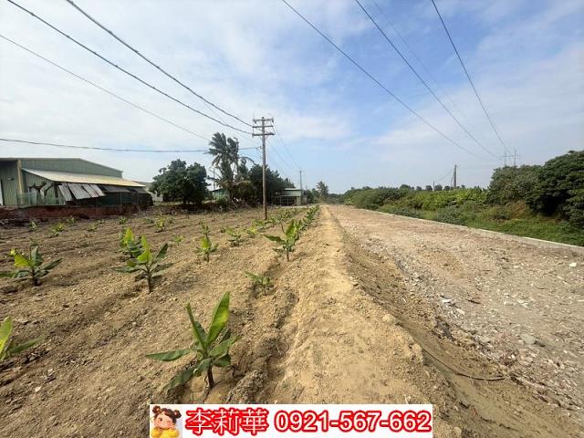 高雄路竹農地-6