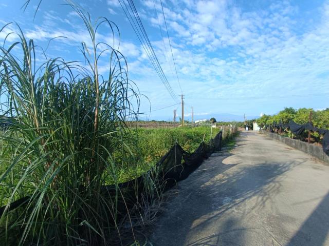 高雄農地-14