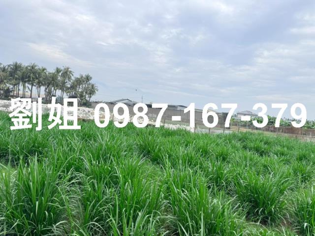 屏東屏東市農地-4