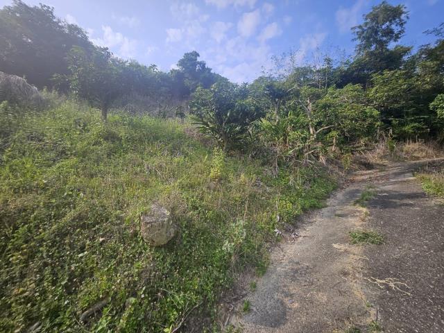 高雄大樹農地-3